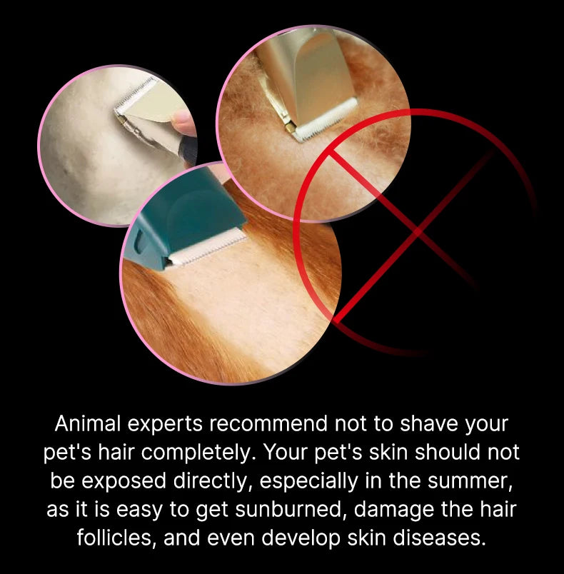 Pet Dog Grooming Clipper Rechargeable Shaver Set