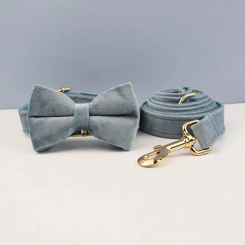 Luxury Dog Leash and Collar, Retractable Walking Collar for Small and Big Pet