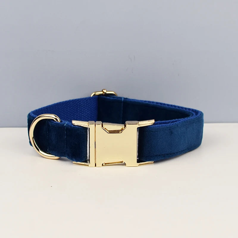 Luxury Dog Leash and Collar, Retractable Walking Collar for Small and Big Pet