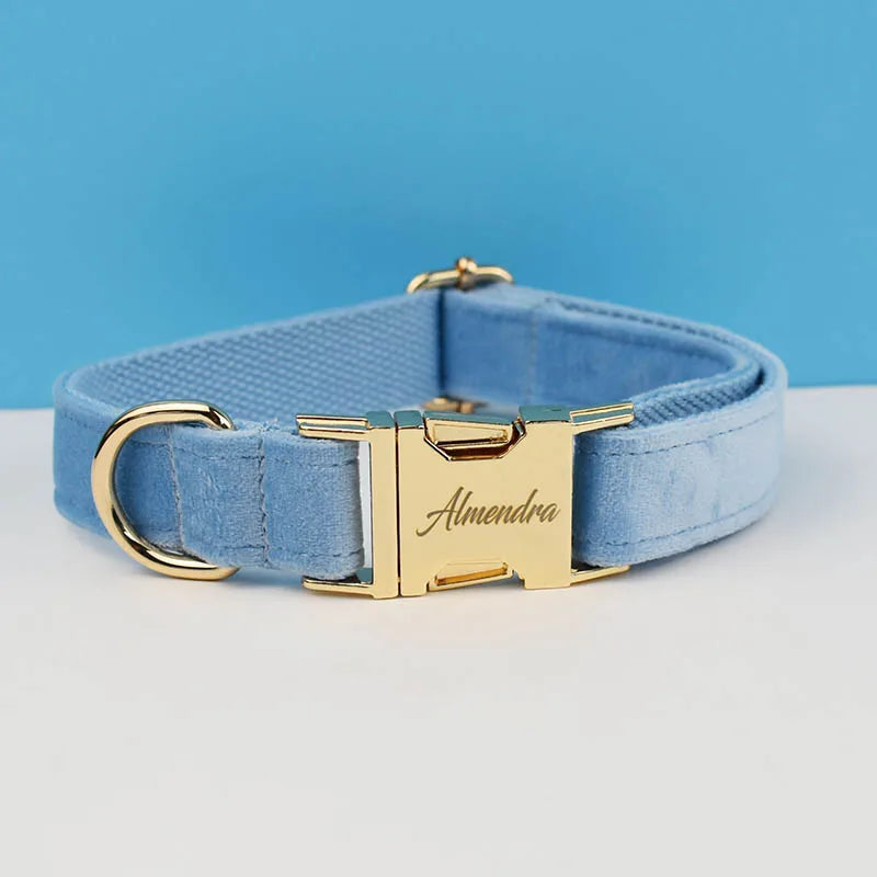 Luxury Dog Leash and Collar, Retractable Walking Collar for Small and Big Pet