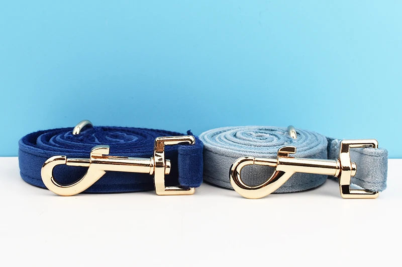 Luxury Dog Leash and Collar, Retractable Walking Collar for Small and Big Pet
