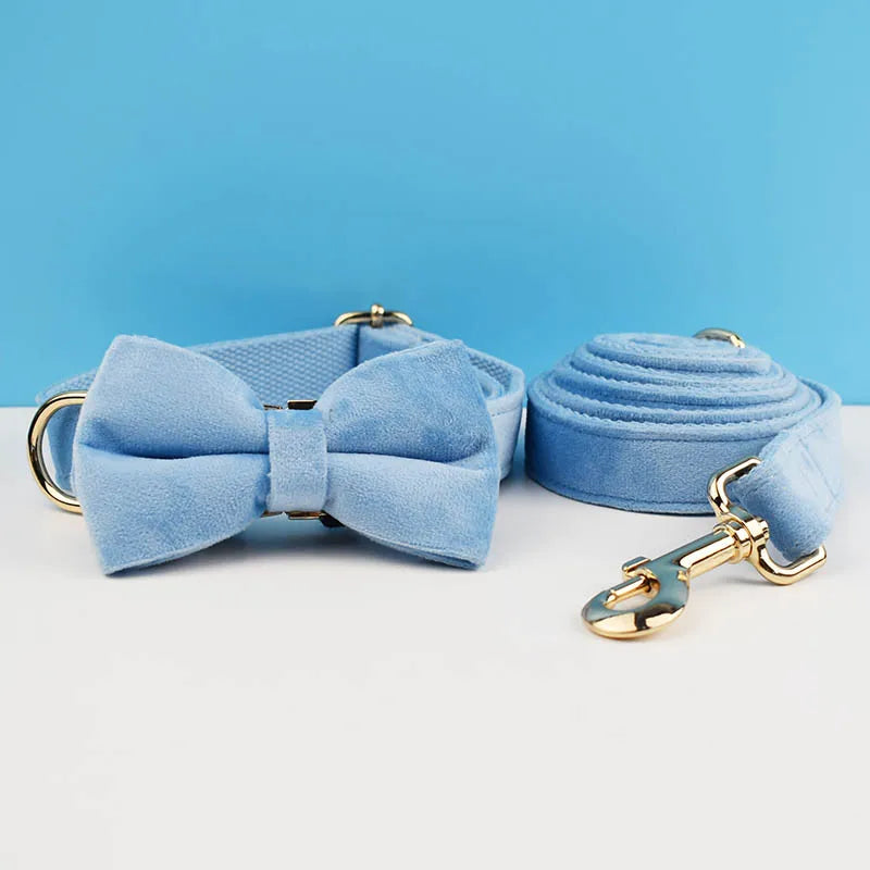 Luxury Dog Leash and Collar, Retractable Walking Collar for Small and Big Pet