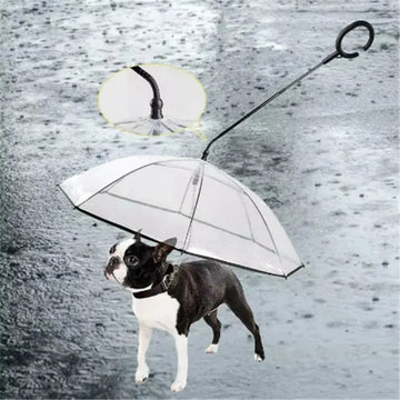 Transparent Cat And Dog Rain Umbrella