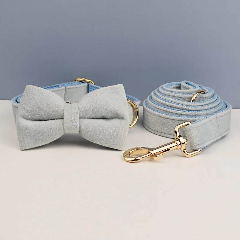 Luxury Dog Leash and Collar, Retractable Walking Collar for Small and Big Pet