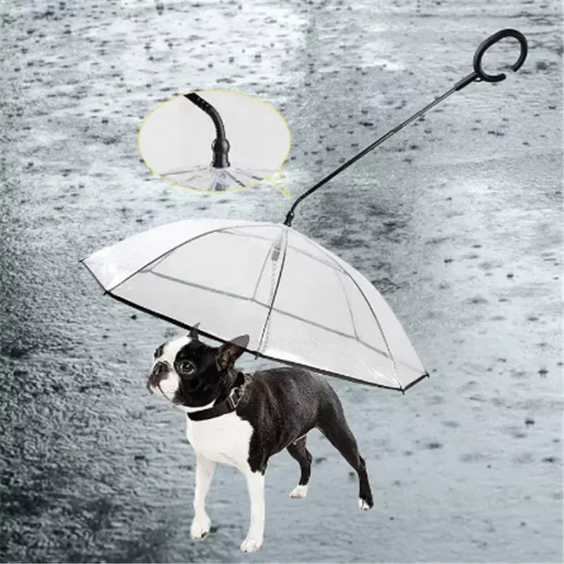 Transparent Cat And Dog Rain Umbrella