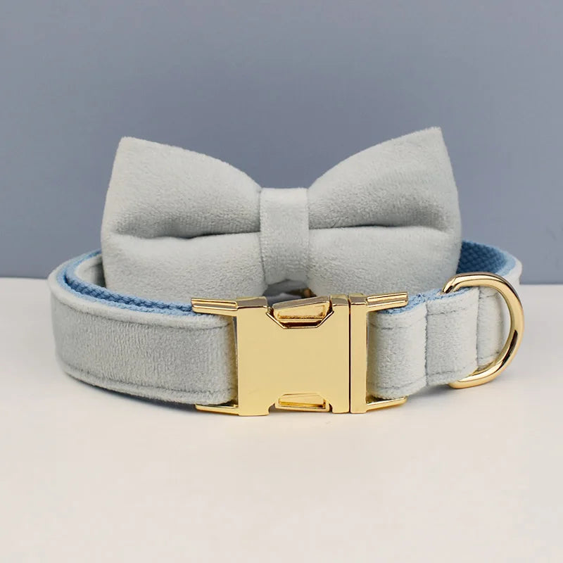 Luxury Dog Leash and Collar, Retractable Walking Collar for Small and Big Pet