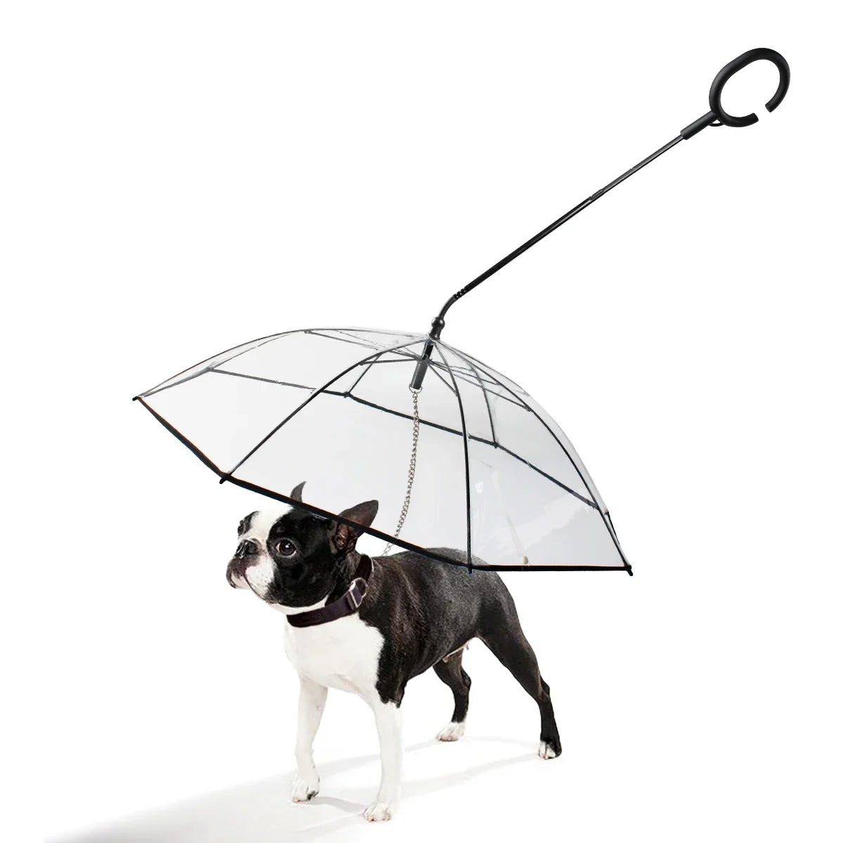 Transparent Cat And Dog Rain Umbrella