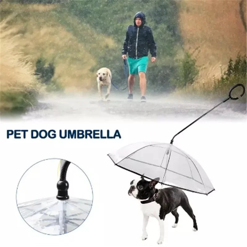 Transparent Cat And Dog Rain Umbrella