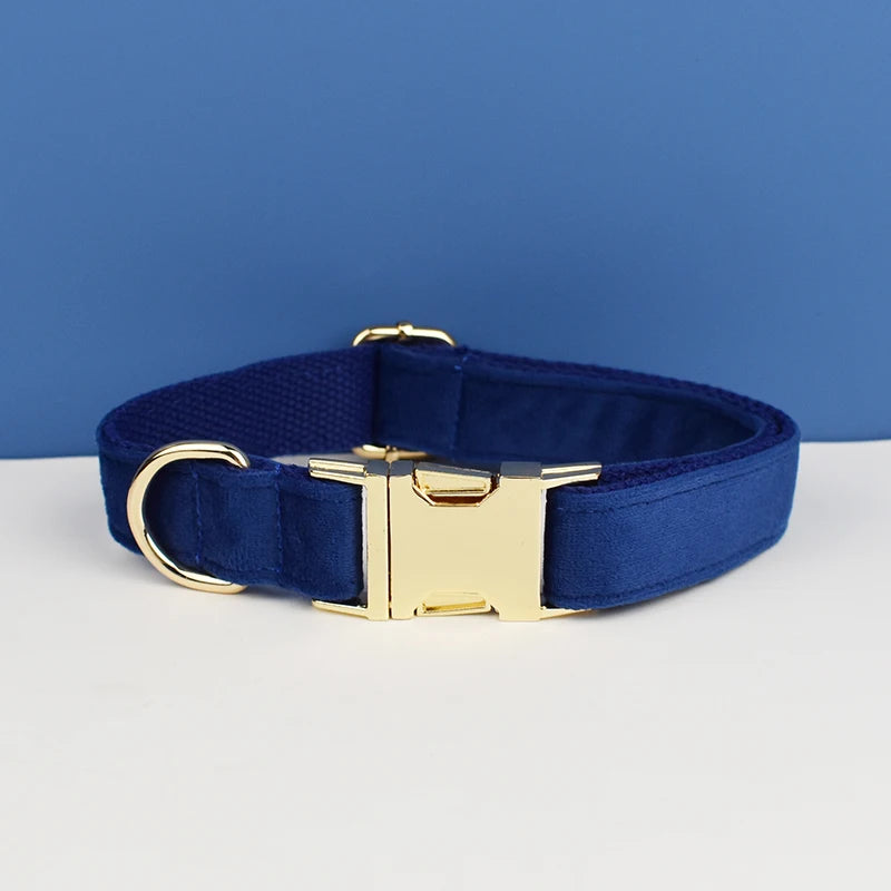 Luxury Dog Leash and Collar, Retractable Walking Collar for Small and Big Pet