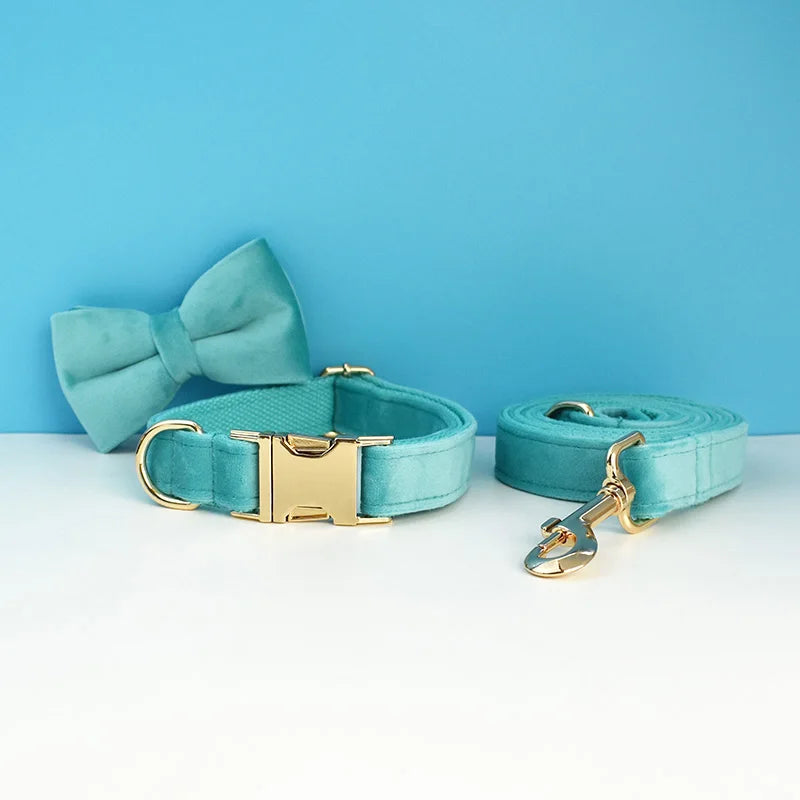 Luxury Dog Leash and Collar, Retractable Walking Collar for Small and Big Pet