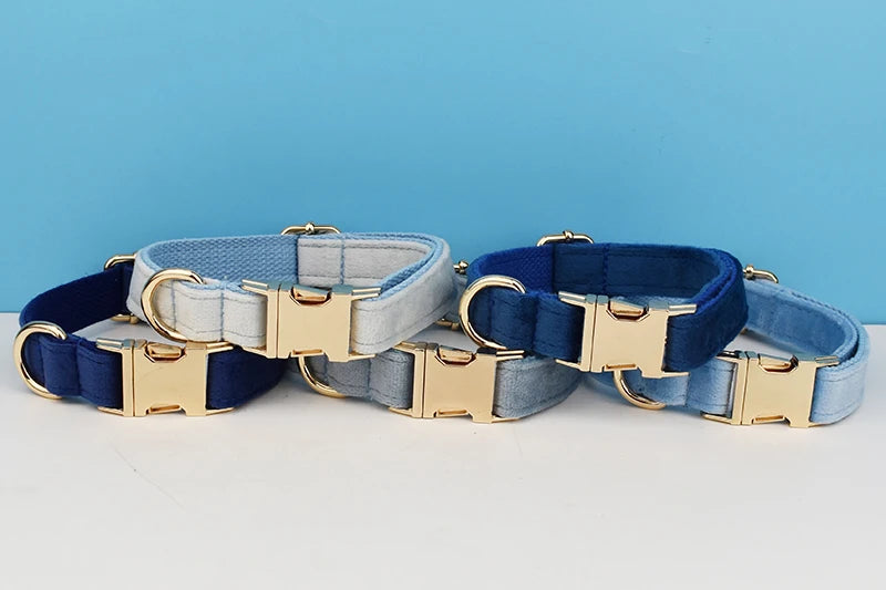 Luxury Dog Leash and Collar, Retractable Walking Collar for Small and Big Pet