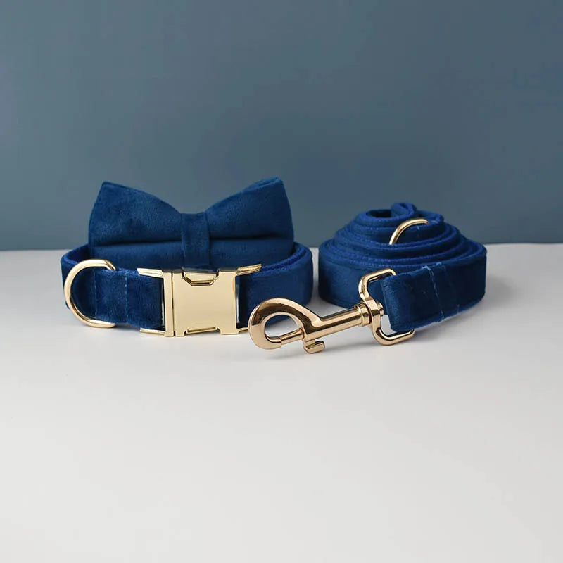 Luxury Dog Leash and Collar, Retractable Walking Collar for Small and Big Pet