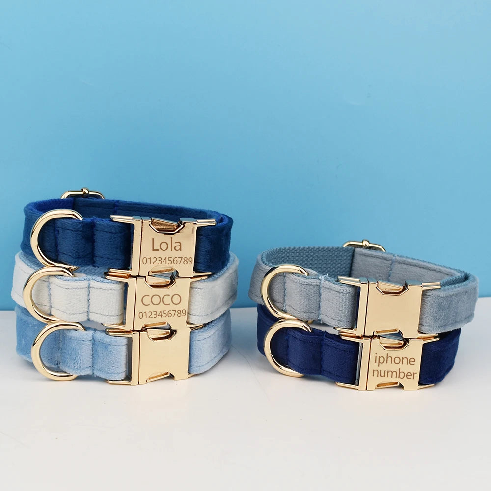 Luxury Dog Leash and Collar, Retractable Walking Collar for Small and Big Pet