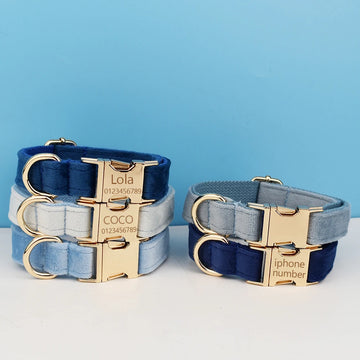 Luxury Dog Leash and Collar, Retractable Walking Collar for Small and Big Pet