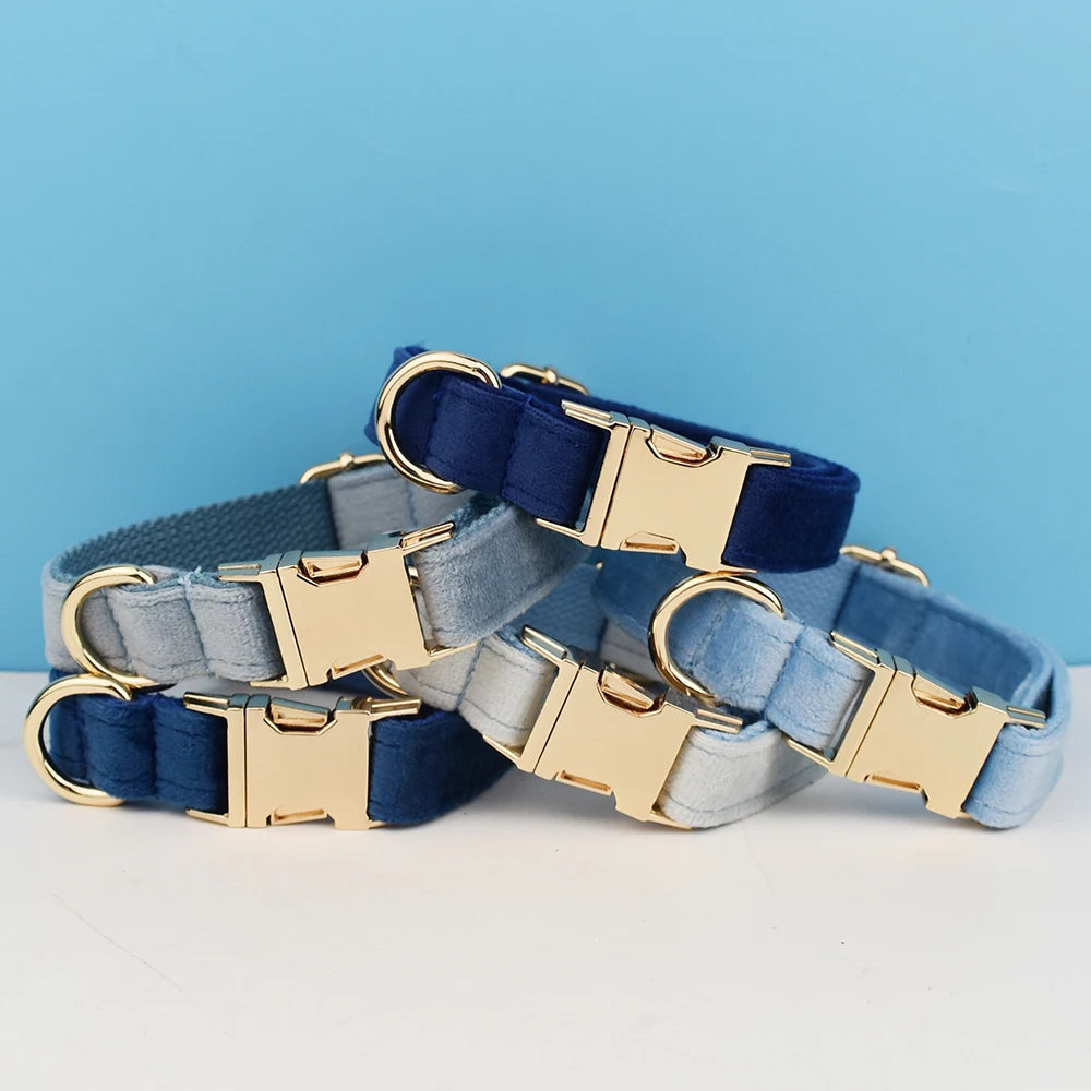 Luxury Dog Leash and Collar, Retractable Walking Collar for Small and Big Pet