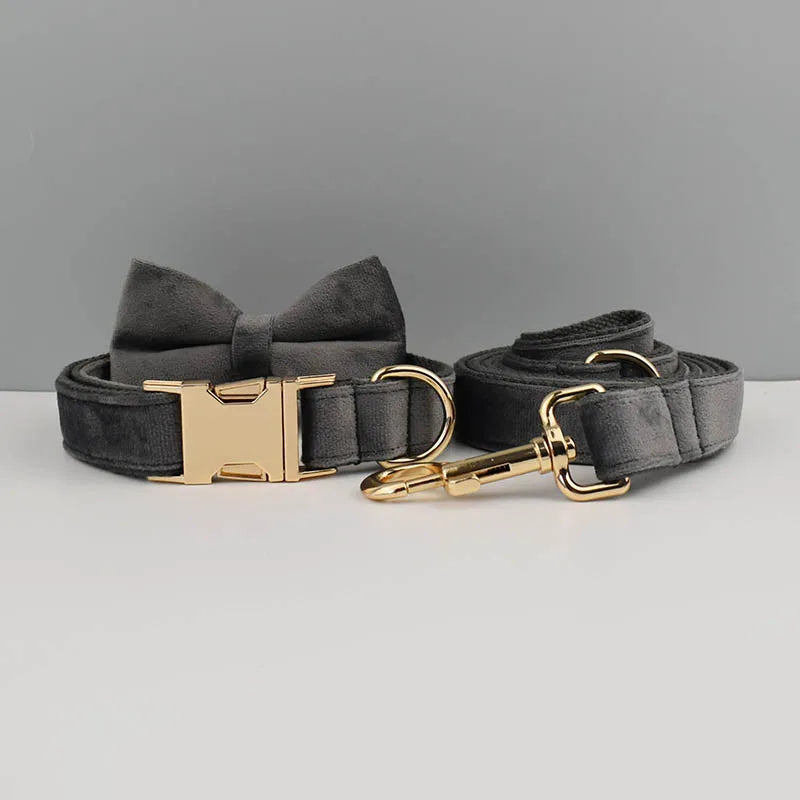 Luxury Dog Leash and Collar, Retractable Walking Collar for Small and Big Pet
