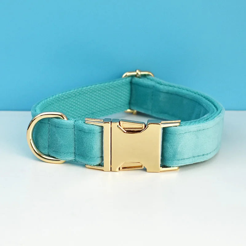Luxury Dog Leash and Collar, Retractable Walking Collar for Small and Big Pet