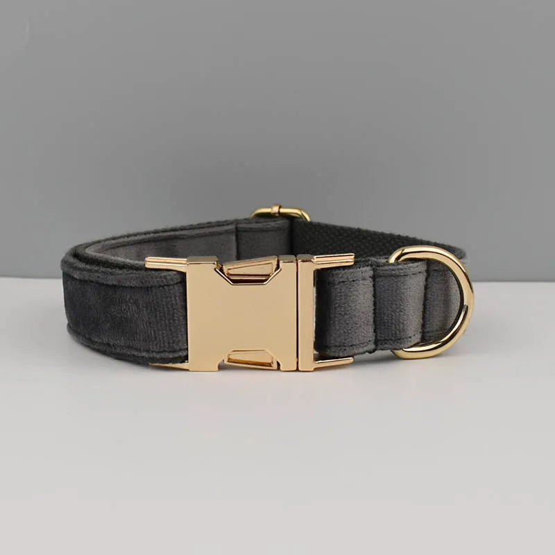 Luxury Dog Leash and Collar, Retractable Walking Collar for Small and Big Pet