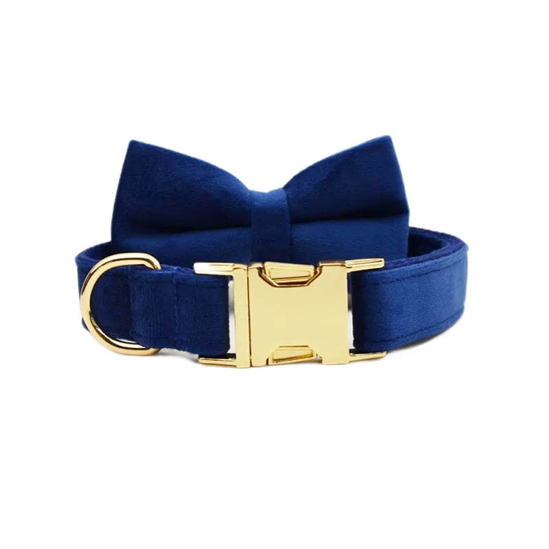 Luxury Dog Leash and Collar, Retractable Walking Collar for Small and Big Pet