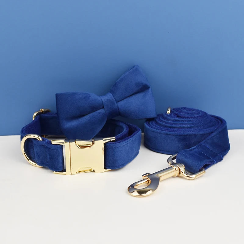 Luxury Dog Leash and Collar, Retractable Walking Collar for Small and Big Pet