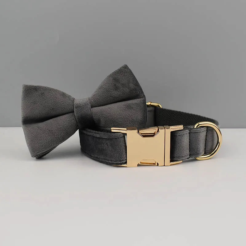 Luxury Dog Leash and Collar, Retractable Walking Collar for Small and Big Pet