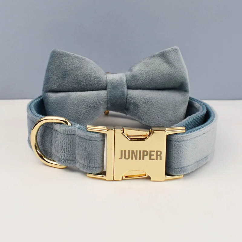 Luxury Dog Leash and Collar, Retractable Walking Collar for Small and Big Pet