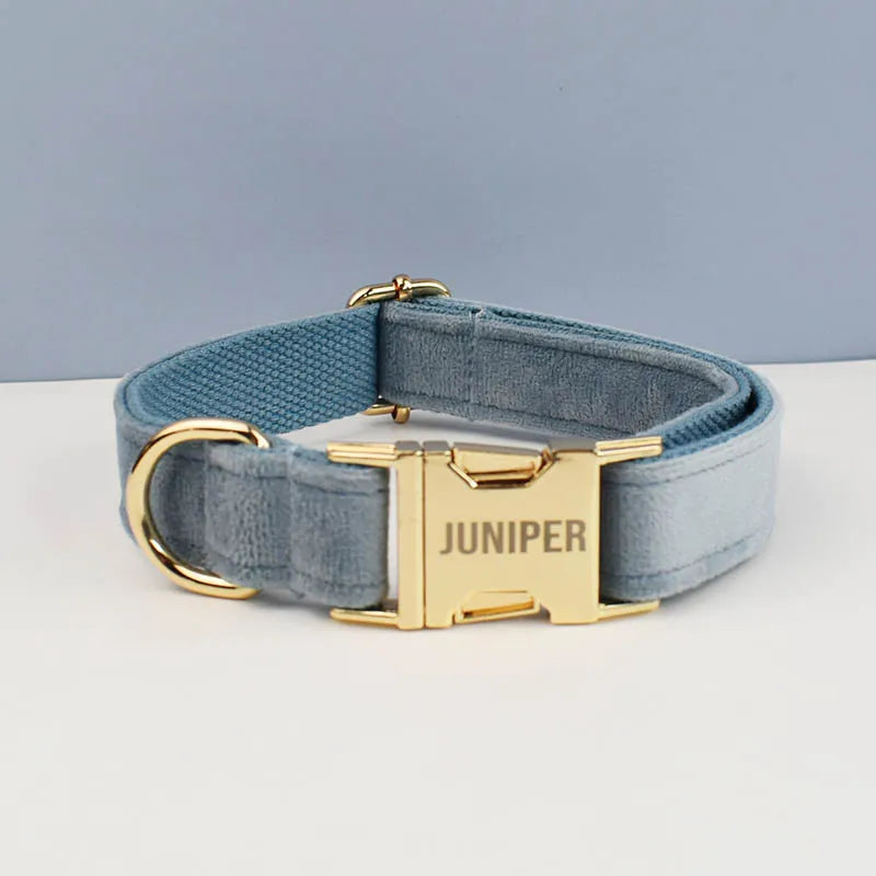 Luxury Dog Leash and Collar, Retractable Walking Collar for Small and Big Pet