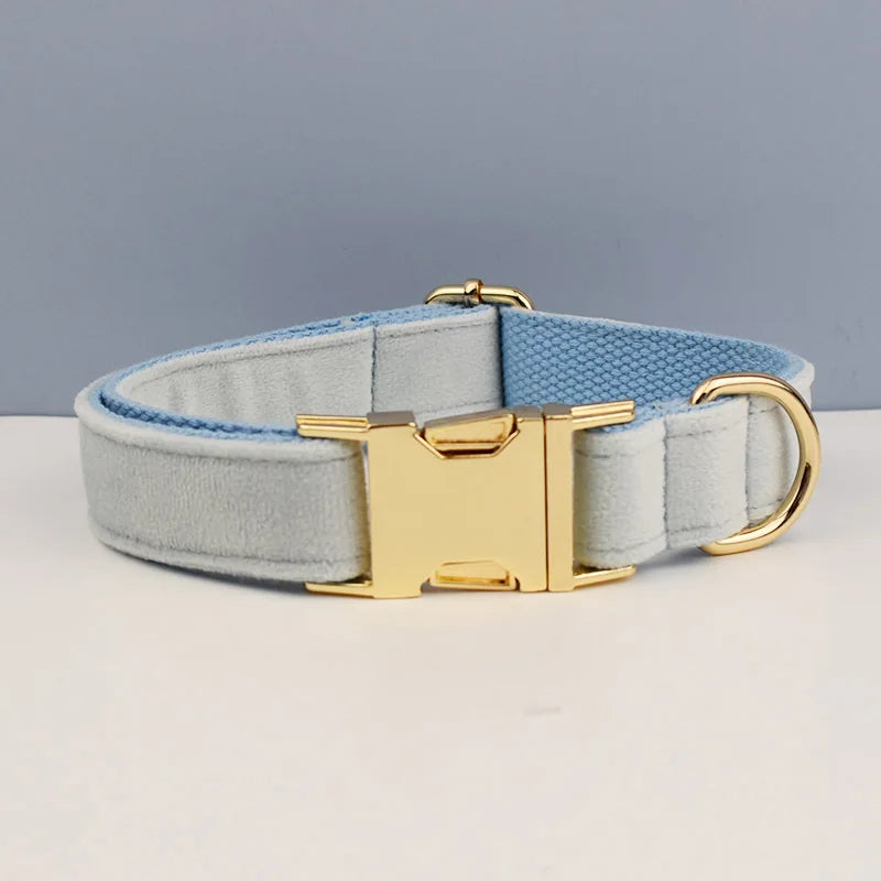 Luxury Dog Leash and Collar, Retractable Walking Collar for Small and Big Pet