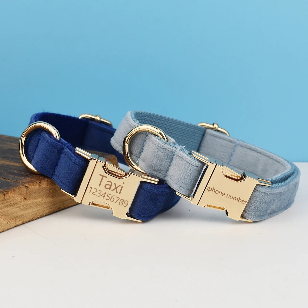 Luxury Dog Leash and Collar, Retractable Walking Collar for Small and Big Pet