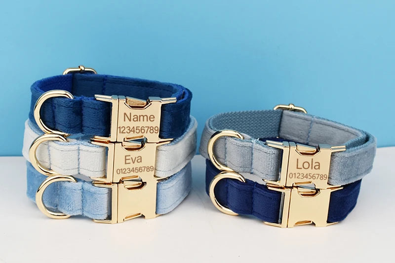 Luxury Dog Leash and Collar, Retractable Walking Collar for Small and Big Pet